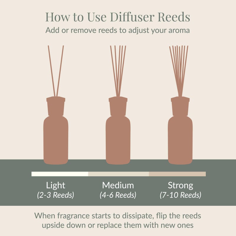 Archipelago Botanicals Black Forest Reed Diffuser, Home Fragrance Reed Diffuser, Includes Fragrance Oil, Decorative Wooden Cap & 10 Diffuser Reeds, Perfect for Home, Office or Gift, 7.85 fl oz - Image 5